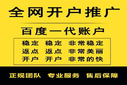 SEM专员实战案例解析